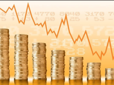 الصورة المصغرة للدورة