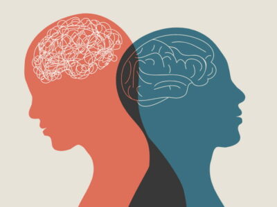 الصورة المصغرة للدورة